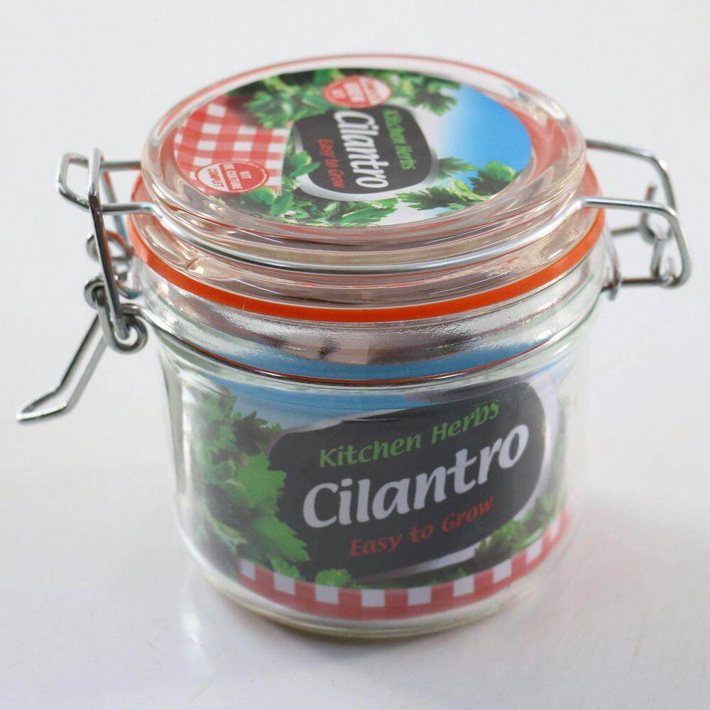 3.3 in. Cilantro Culinary Kitchen Herb Seed Grow Kit - Hercitys