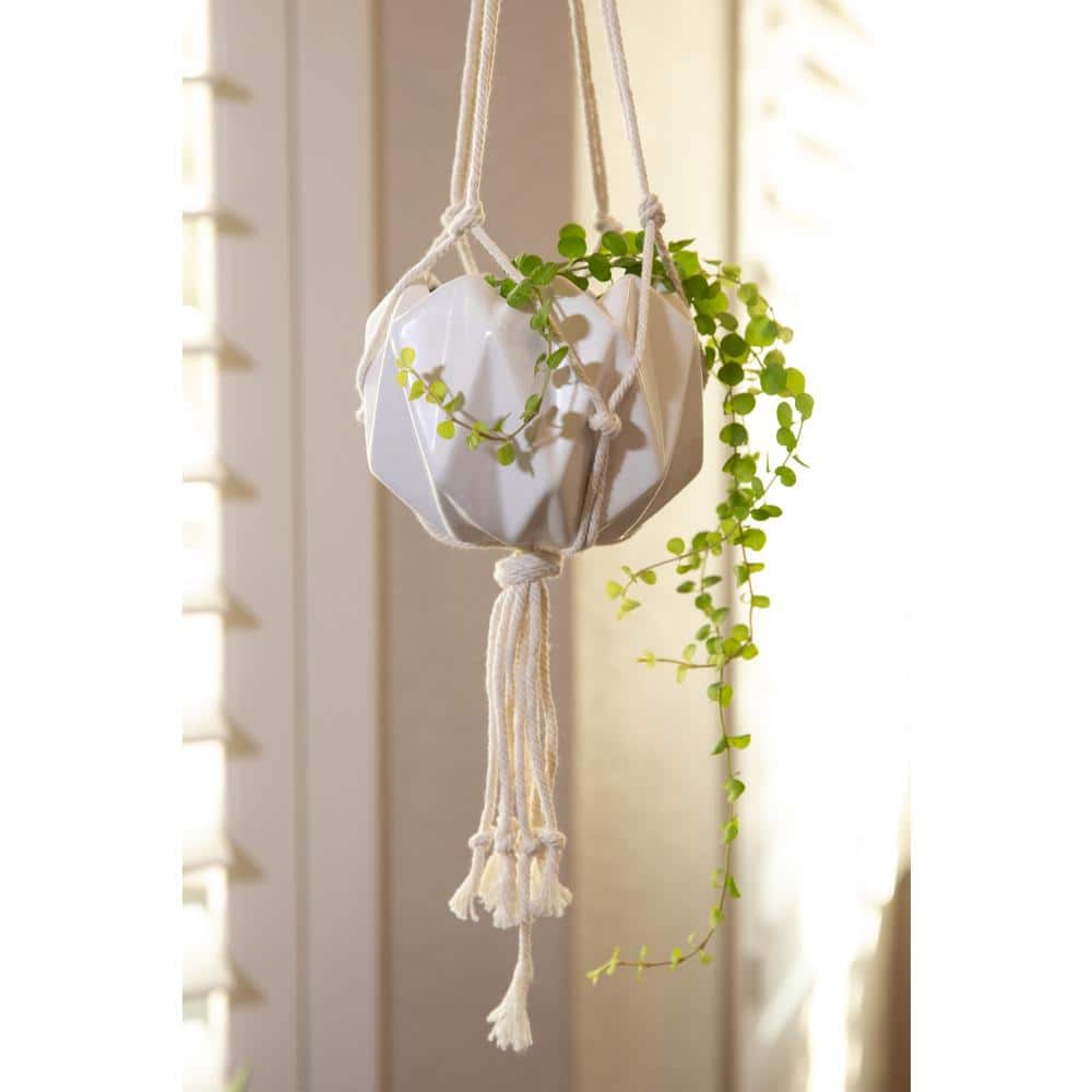 5 in. Matte White Ceramic Macrame Hanging Planter - Hercitys