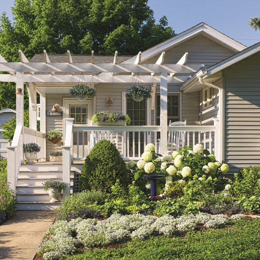 4.5 in. Qt. Incrediball Smooth Hydrangea, Live Shrub, Green to White Flowers - Hercitys