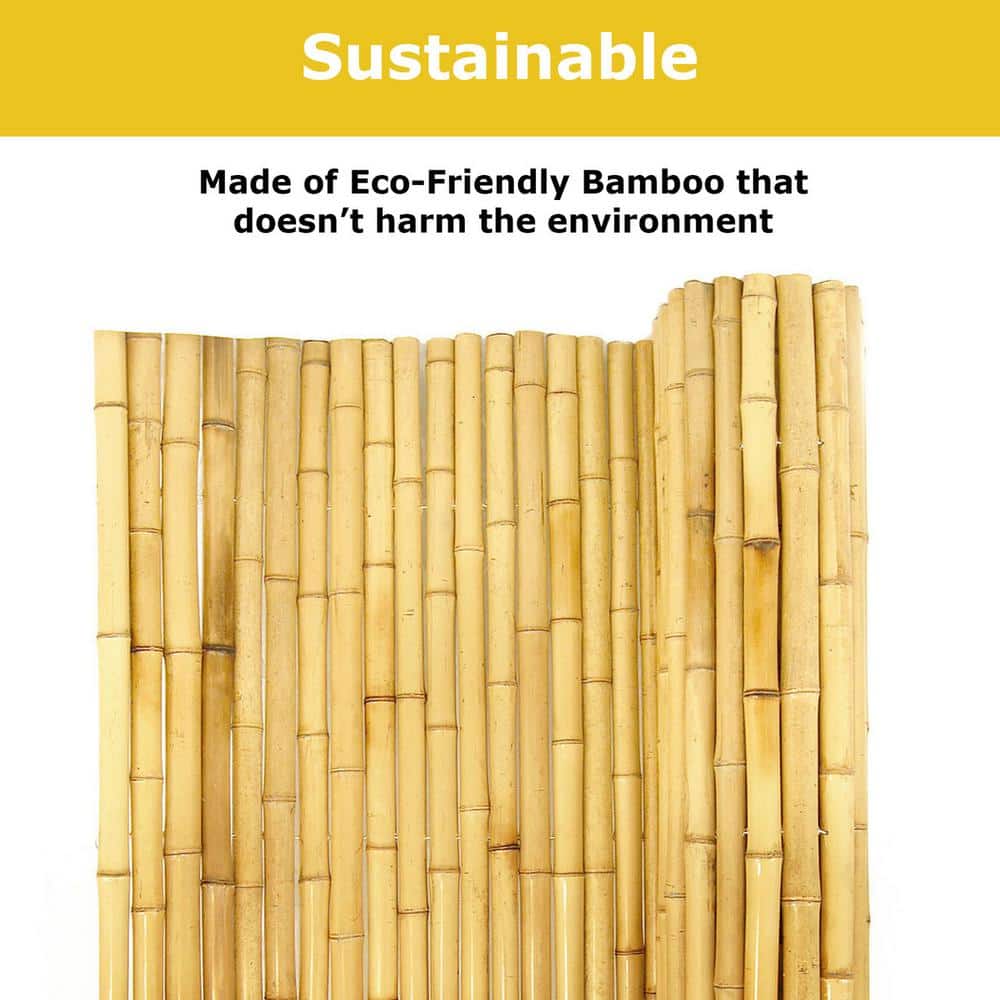 24 in. H x 96 in. L Natural Bamboo Fence - Hercitys