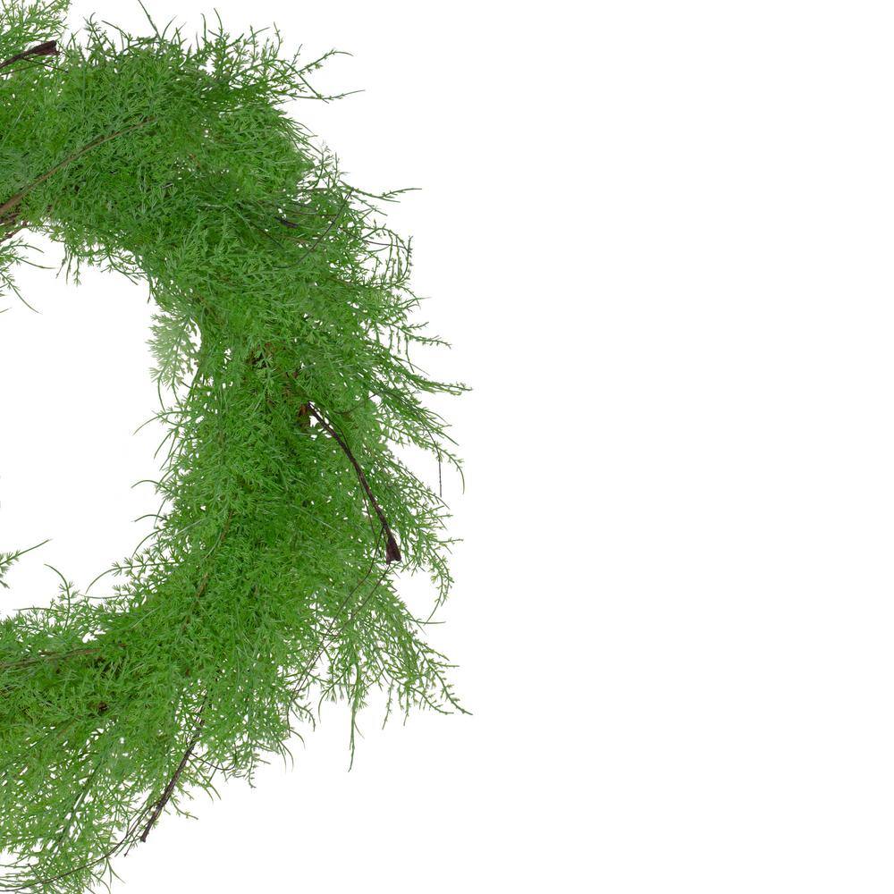 24 in. Brown and Green Unlit Cedar Artificial Christmas Wreath - Hercitys
