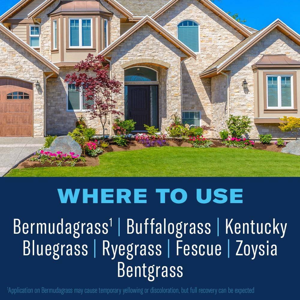 40 oz. Concentrate All-In-1 Lawn Weed and Crabgrass Killer - Hercitys