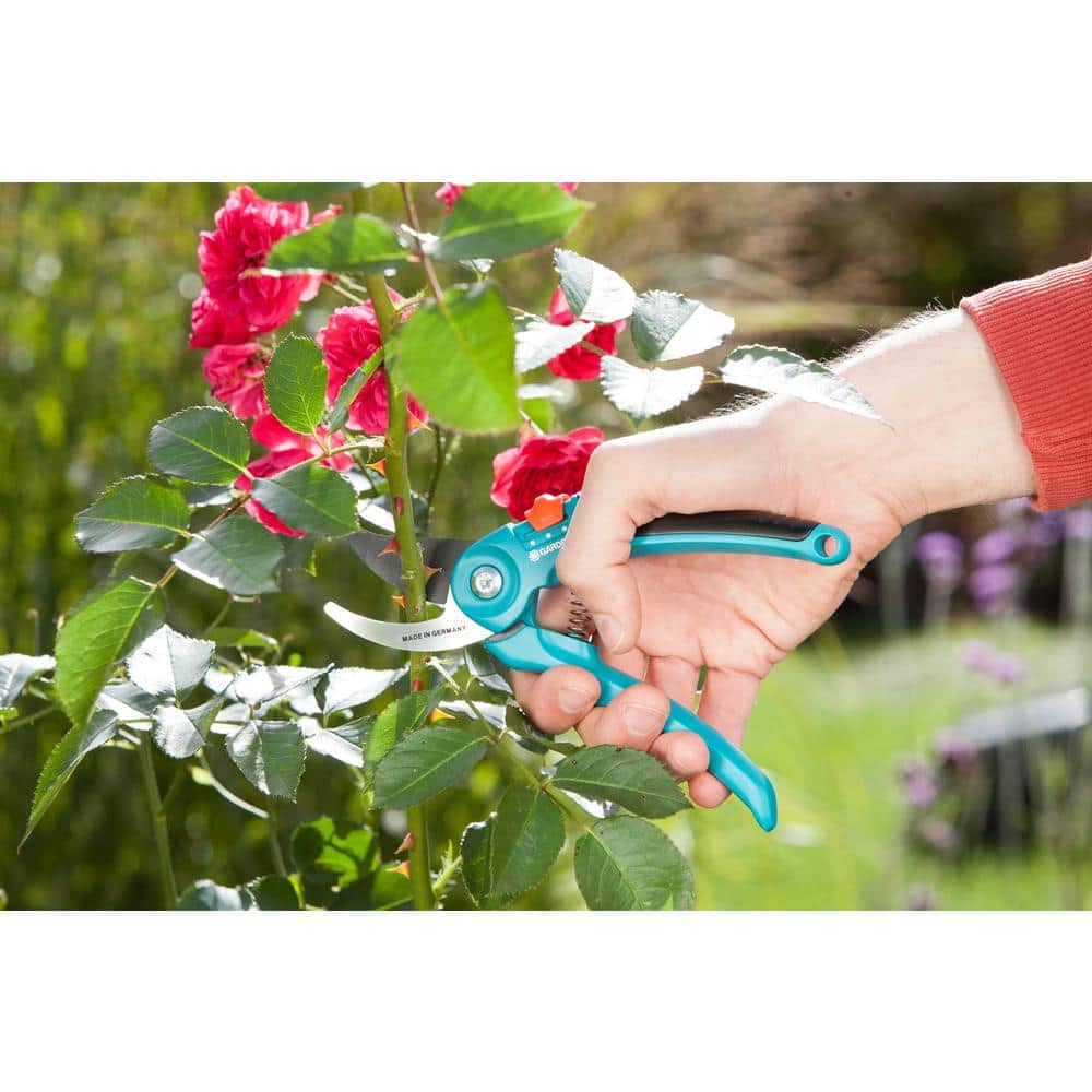 1 in. Garden Pruning Shear B/S-M - Hercitys