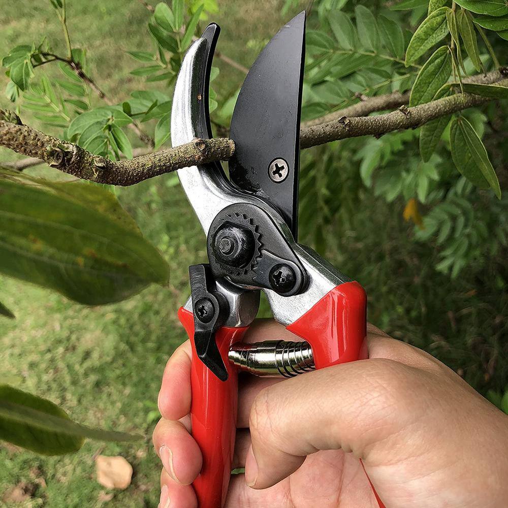 3/4 in. Cutting Capacity, High Carbon Steel Professional Pruning Shears - Hercitys
