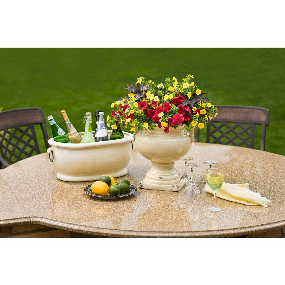 4.25 in. Eco+Grande Superbells Yellow (Calibrachoa) Live Plant, Yellow Flowers (4-Pack) - Hercitys