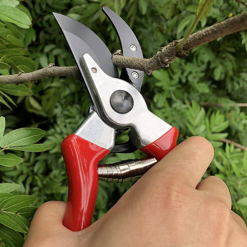 3/4 in. Cutting Capacity, High Carbon Steel Professional Pruning Shears - Hercitys