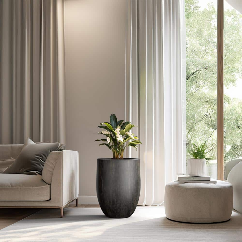 17 in. Large Bronzed Black Concrete Round planter / Pot with drainage holes - Hercitys