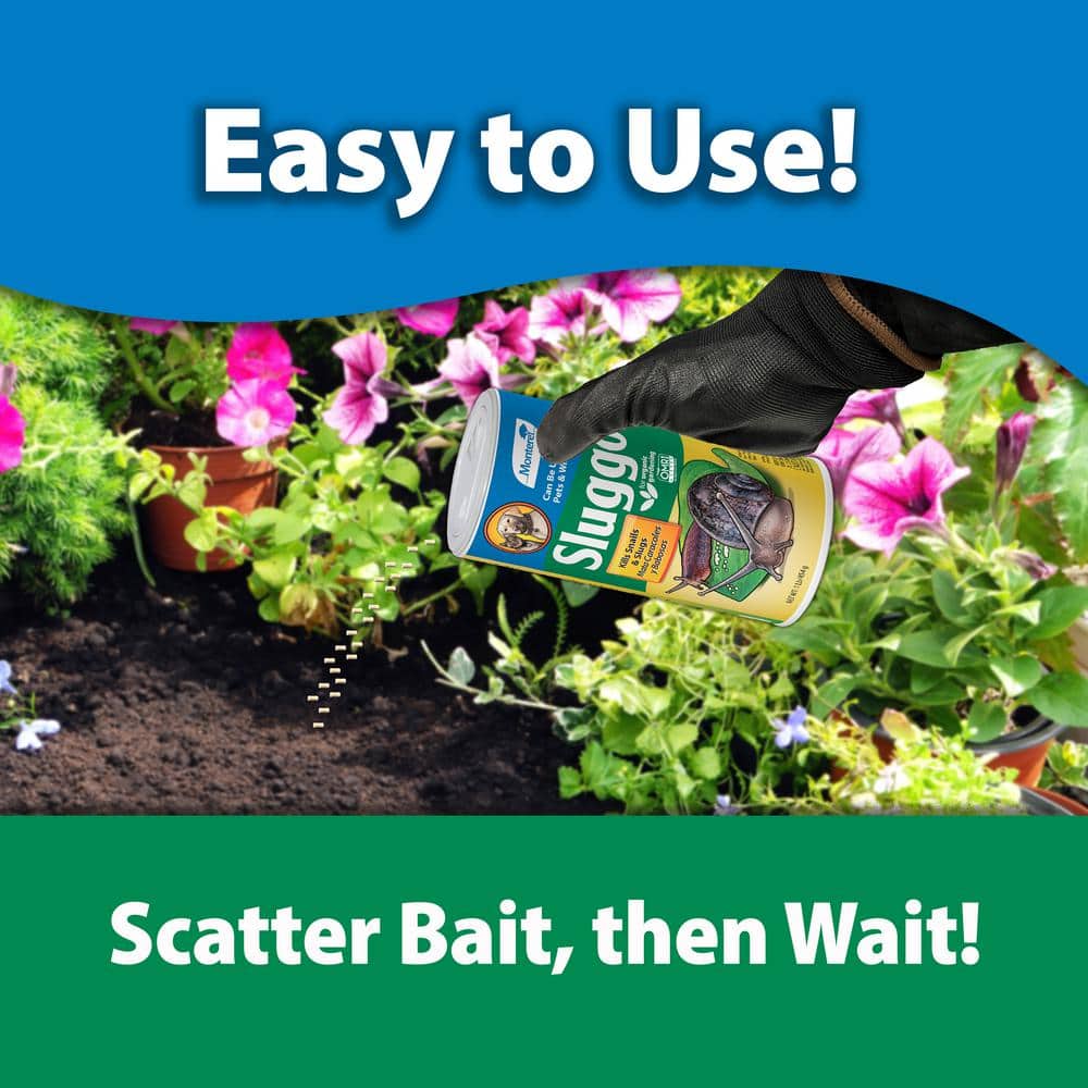 1 lb. Sluggo - Hercitys