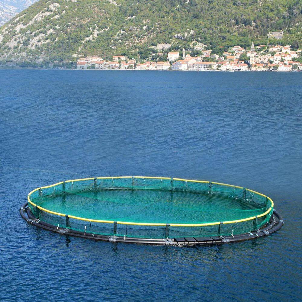 13 x 33 ft. Garden Netting Heavy Duty PE Anti Bird Netting Plants Fruits Tree Vegetables Protection Net 430sqft Coverage - Hercitys