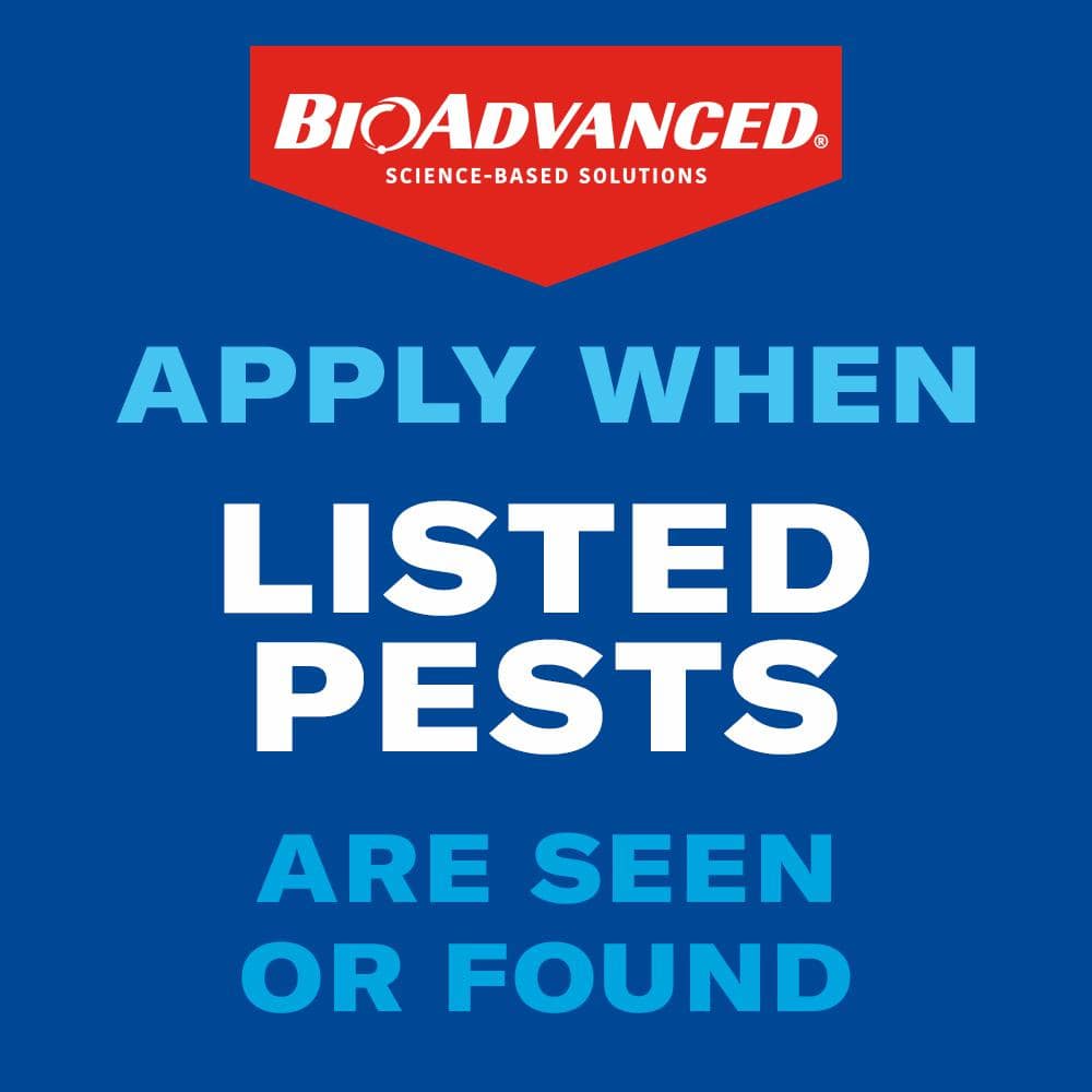 40 oz. Concentrate Carpenter Ant and Termite Killer Plus - Hercitys