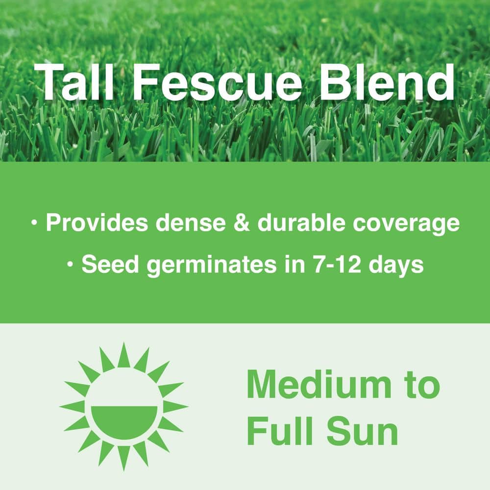 20 lbs. Tall Fescue Grass Seed Blend with Water Saver Seed Coating - Hercitys