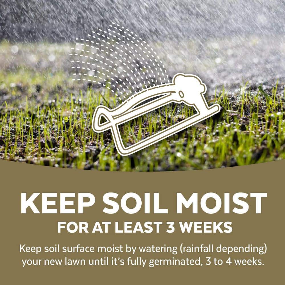 5 lbs. Drought Defy Repair Mulch, Grass Seed and Fertilizer Combination - Hercitys