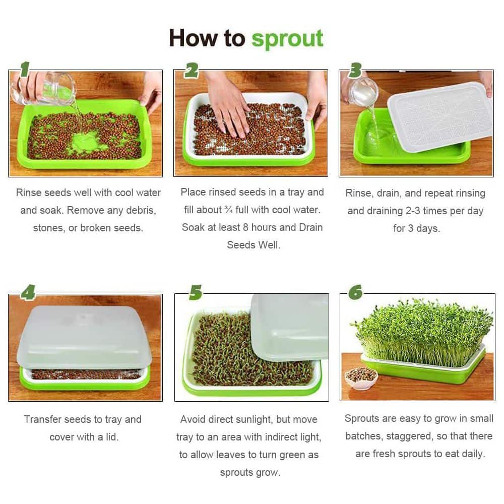 2-Pack Seed Sprouter Tray BPA Free PP Soil-Free Large Capacity Wheatgrass Grower Kit with Lid Green - Hercitys