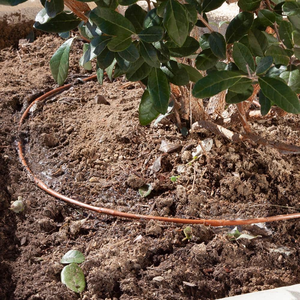 1/4 in. Emitter Tubing 100 ft. W/6 in. Spacing in Brown - Hercitys