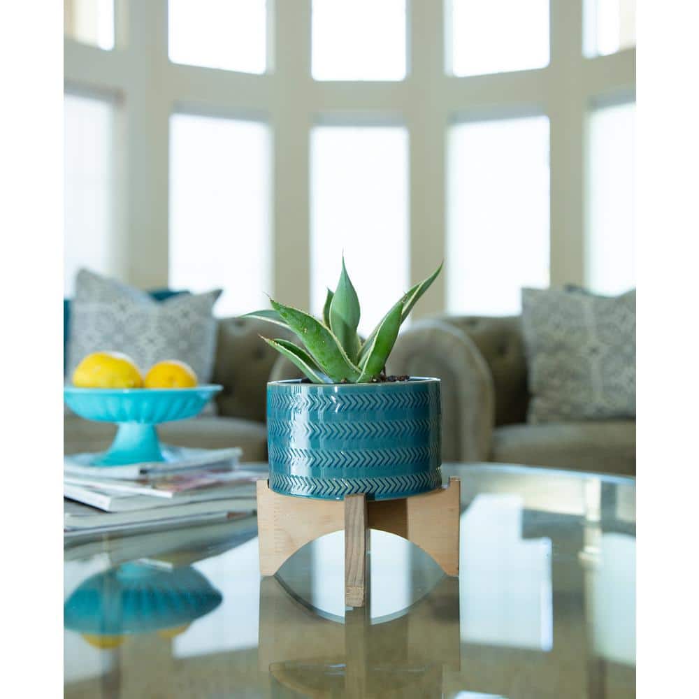 5 in. Jenkins Small Blue Ceramic Planter (5 in. D x 6.3 in. H) with Wood Stand - Hercitys