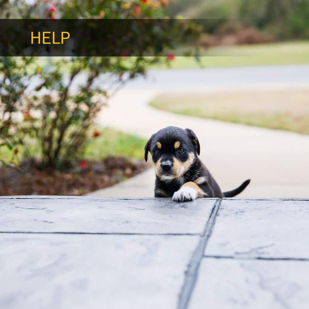 4-Ton Capacity Curb Ramps (Set of 2) - Hercitys