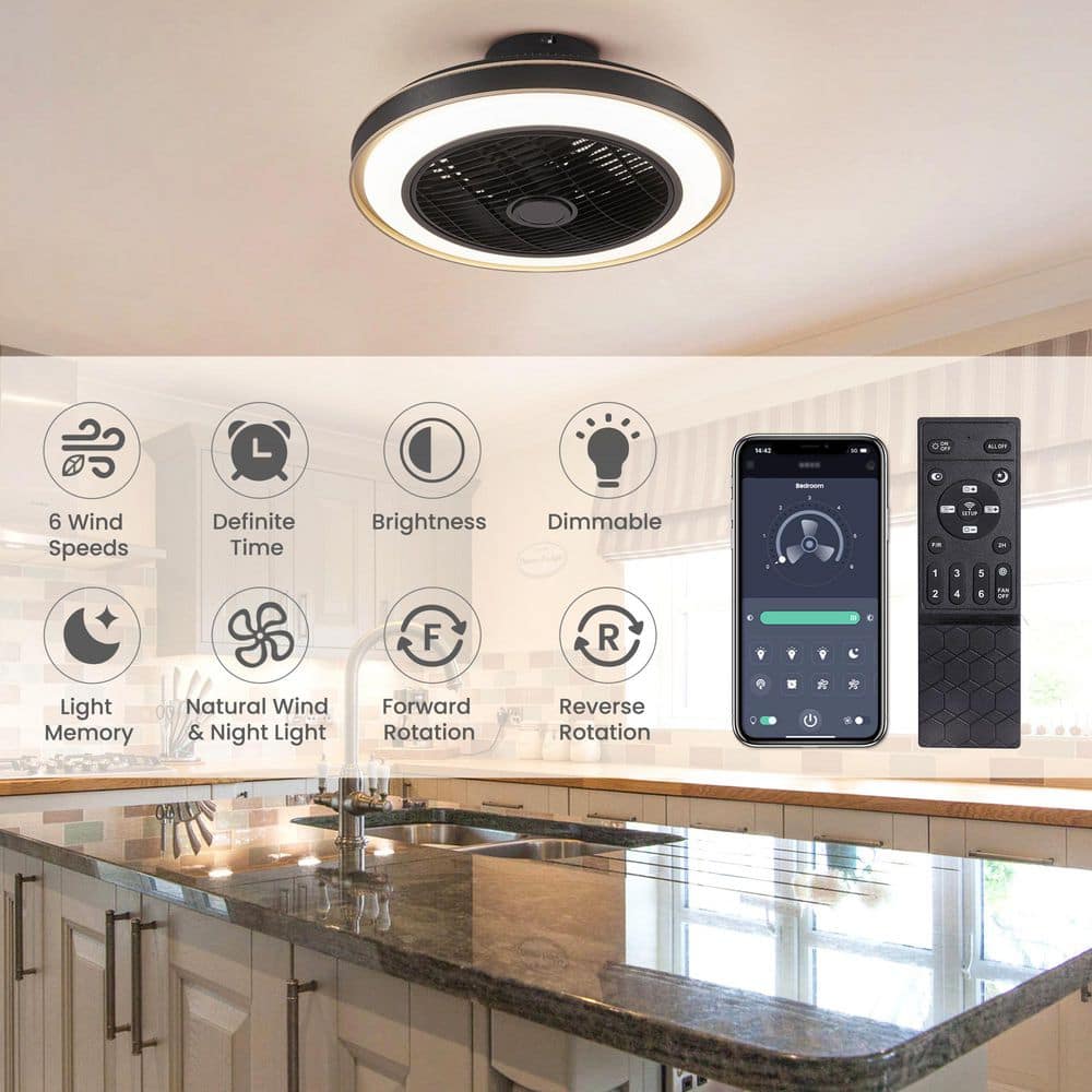 20 in. Indoor Black Modern Low Profile Ceiling Fan with LED Light Caged Enclosed Ceiling Fan with Remote and APP Control - Hercitys