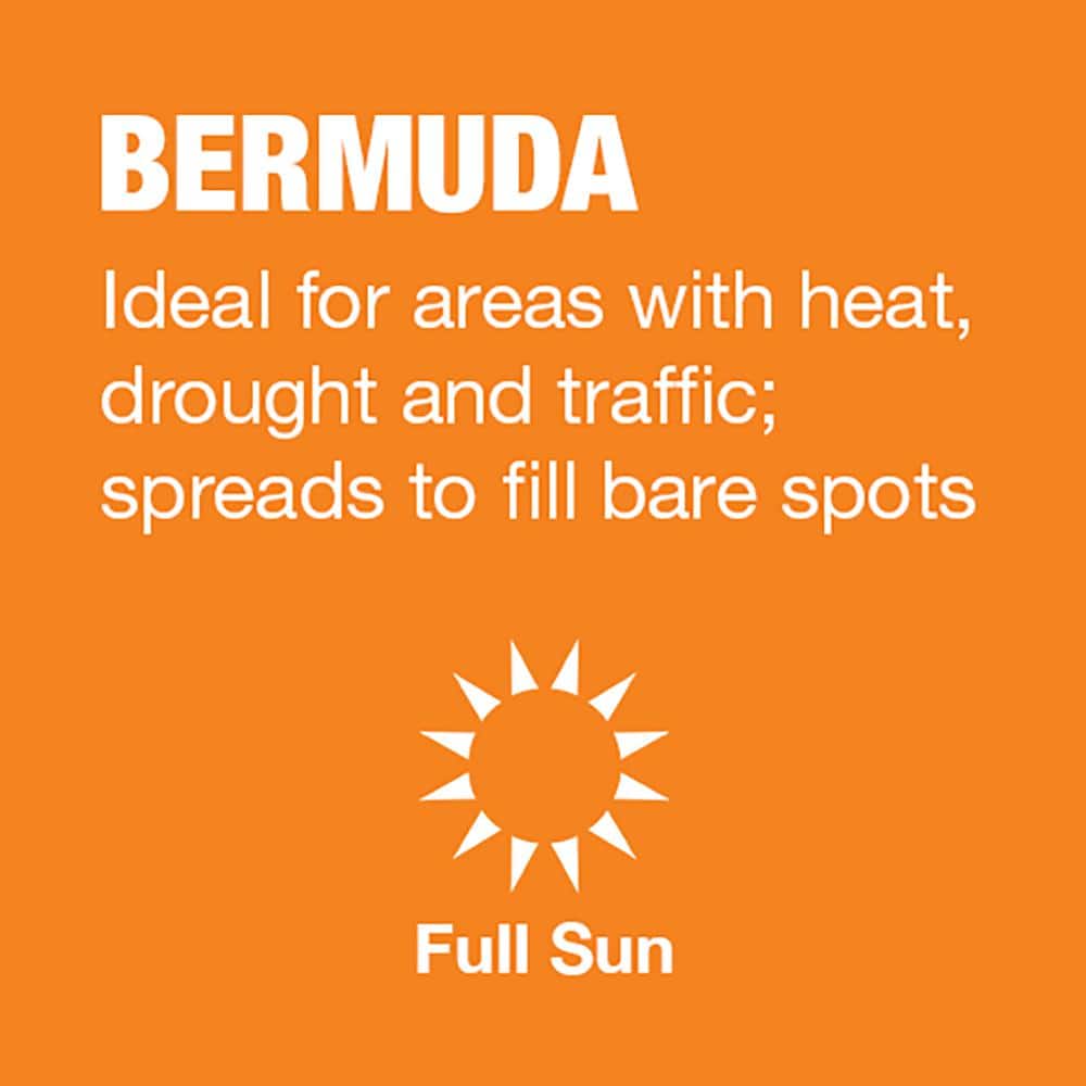 5 lbs. Bermuda Grass Seed Blend with Water Saver Seed Coating - Hercitys