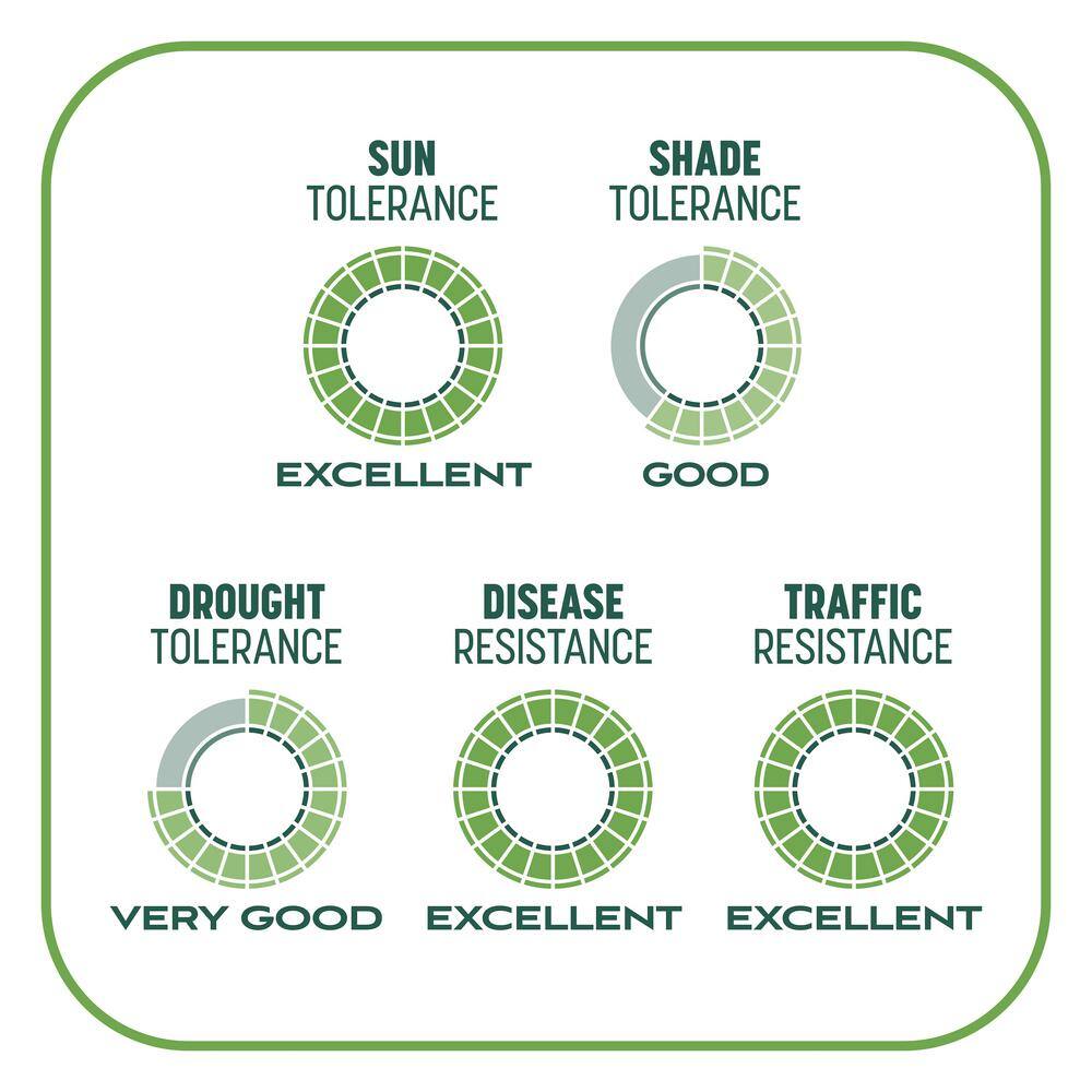 5 lbs. Smart Patch Tall Fescue West Grass Seed with Mulch Fertilizer - Hercitys