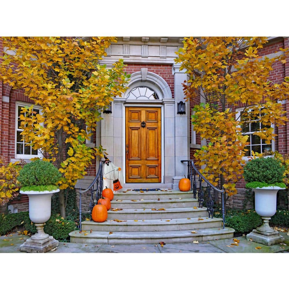 27 in. Touch Activated Animatronic Ghost - Hercitys