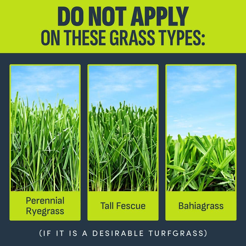 32 oz. 8,000 sq. ft. Nutsedge Weed Killer Ready-To-Spray - Hercitys