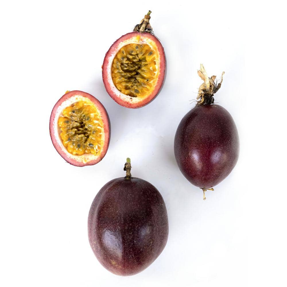 4 in. Passion Fruit Poppin’ Passion Annual Plant with White-Purple Flowers (3-Pack) - Hercitys