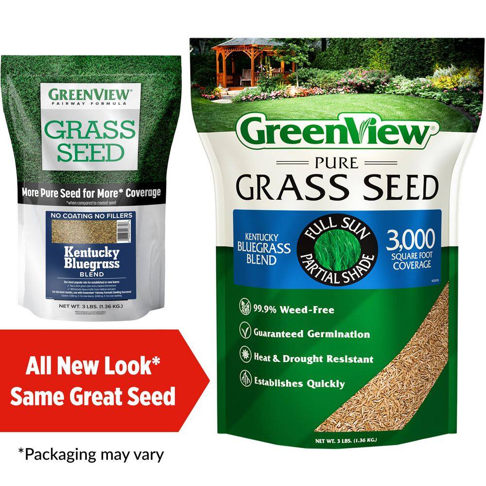 3 lbs. Pure Grass Kentucky Bluegrass Blend – Covers up to 3,000 sq. ft. - Hercitys