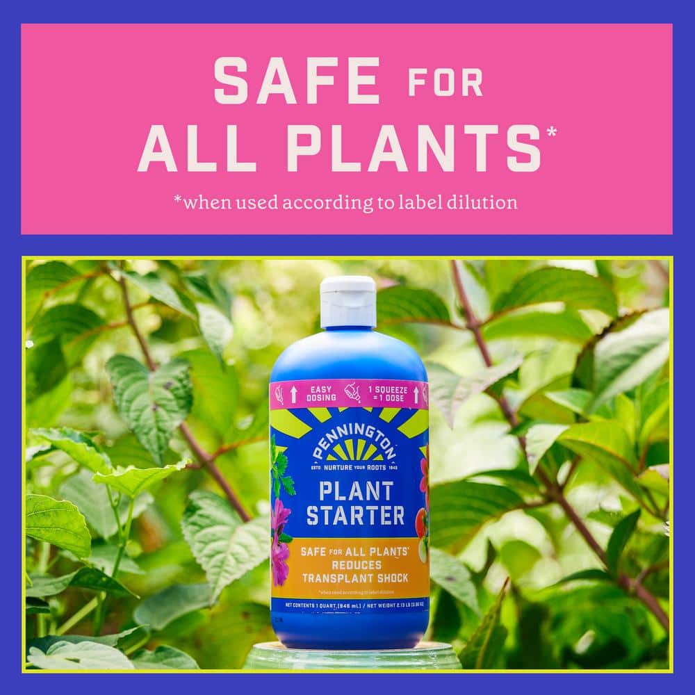 32 oz. Liquid Plant Starter with Easy Dose (2-Pack) - Hercitys