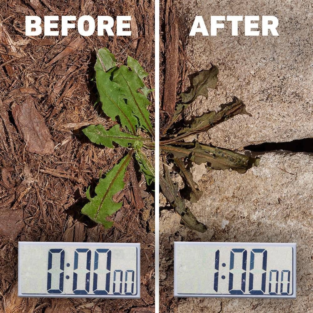 24 oz. Weed and Grass Killer Trigger Spray - Hercitys