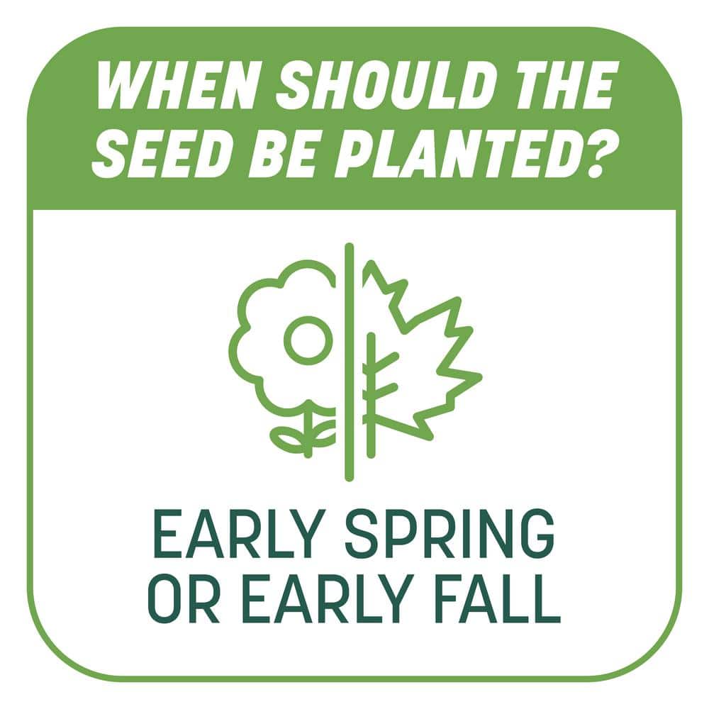 5 lbs. Smart Patch Tall Fescue West Grass Seed with Mulch Fertilizer - Hercitys