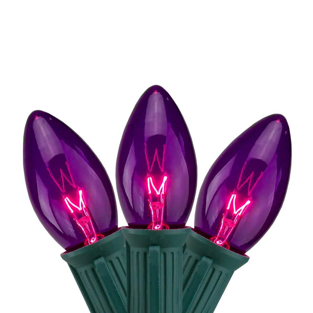 12 in. Set of 25 Transparent Purple C9 Christmas Lights Spacing – Green Wire - Hercitys