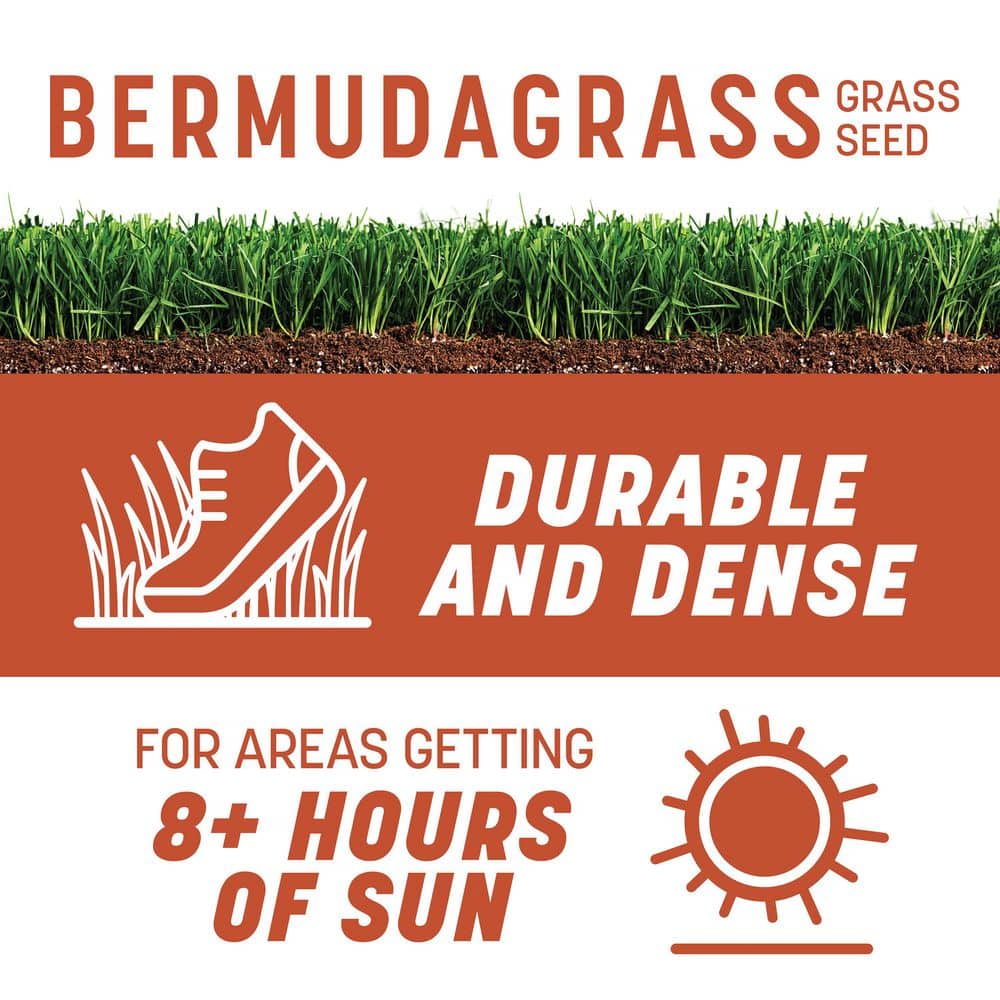 15 lbs. Bermudagrass Grass Seed - Hercitys