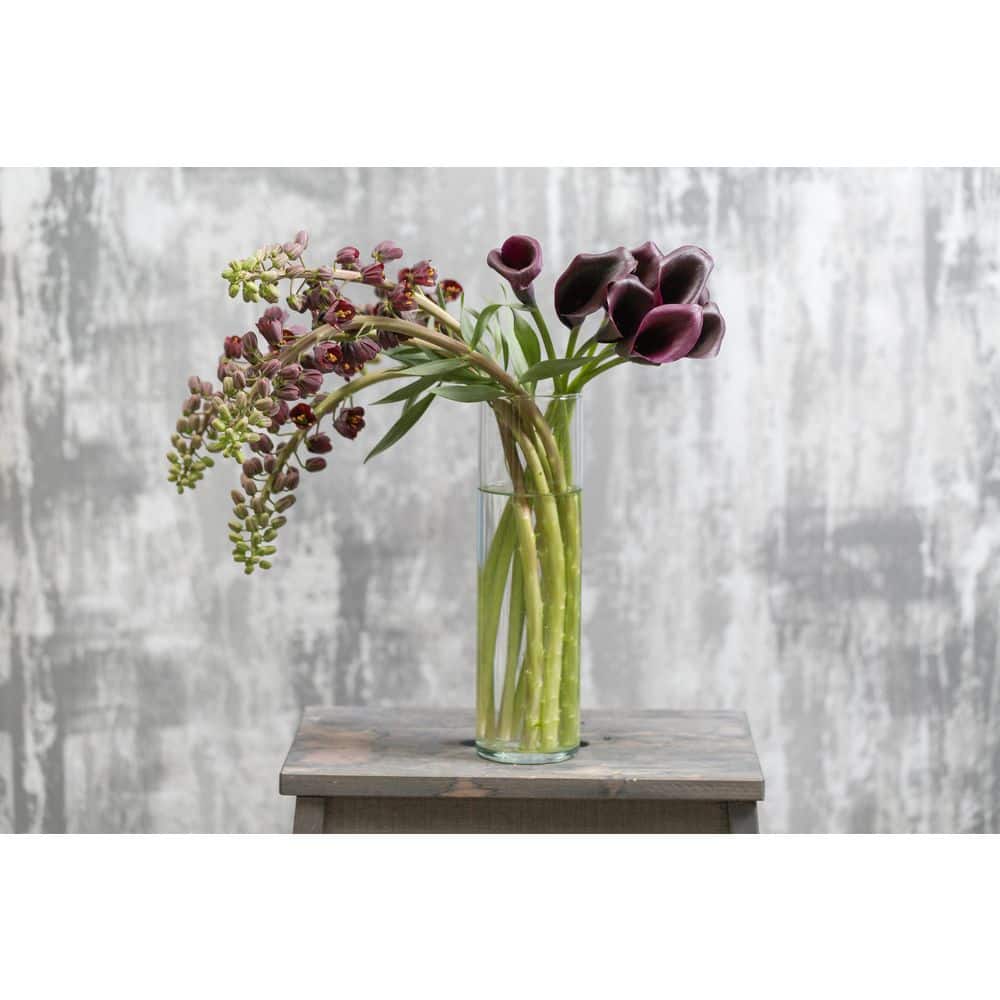 2.5 Qt. Perennial Calla Lily Black (2-Pack) - Hercitys