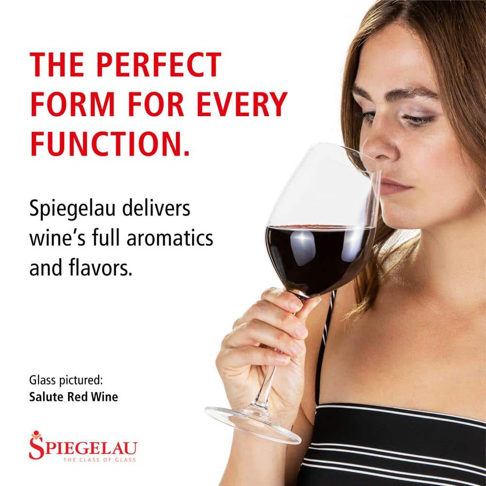 19.4 oz. Red Wine Glasses European-Made Lead-Free Crystal, Classic Stemmed, Dishwasher Safe (Set of 4) - Hercitys