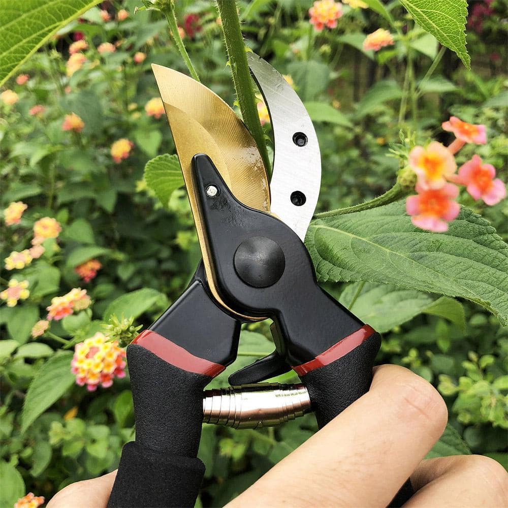 3/4 in. Cutting Capacity, Professional Premium Titanium Bypass Pruning Shears - Hercitys