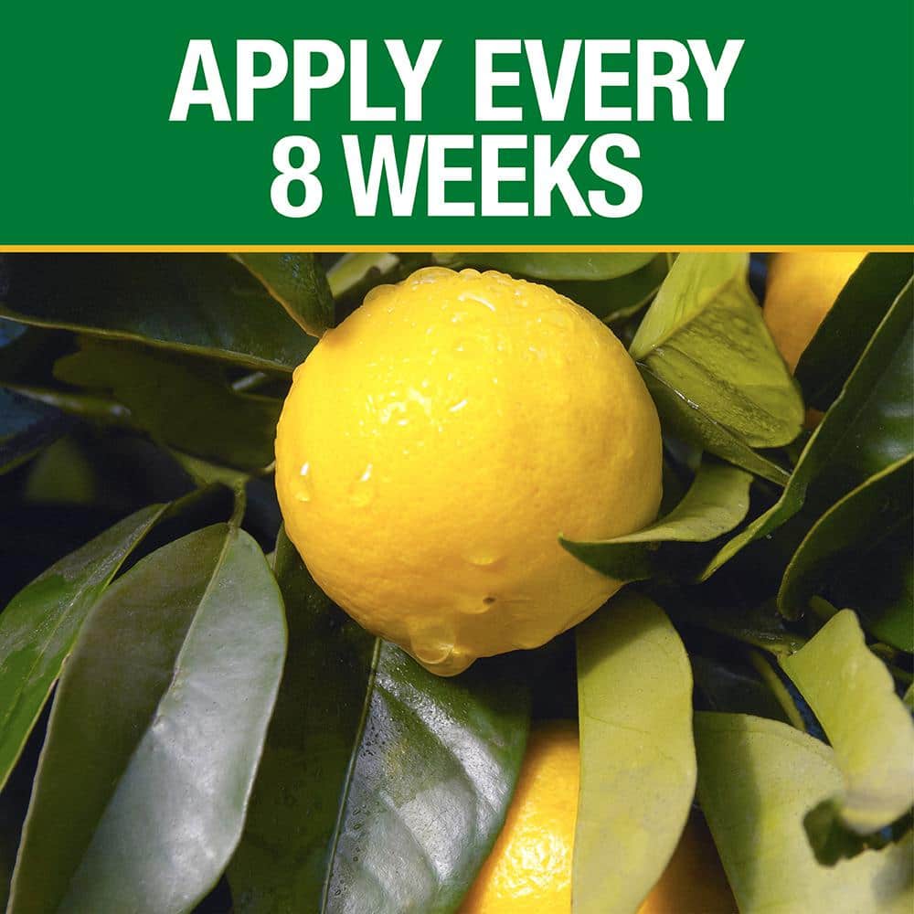 3.5 lb. All Season Citrus and Avocado Plant Food (6-4-6) - Hercitys