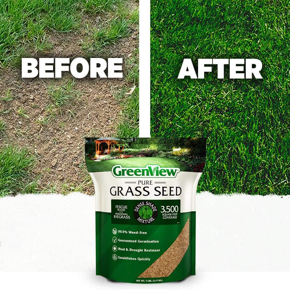3 lbs. Pure Grass Seed Dense Shade Mixture – Covers up to 1,500 sq. ft. - Hercitys