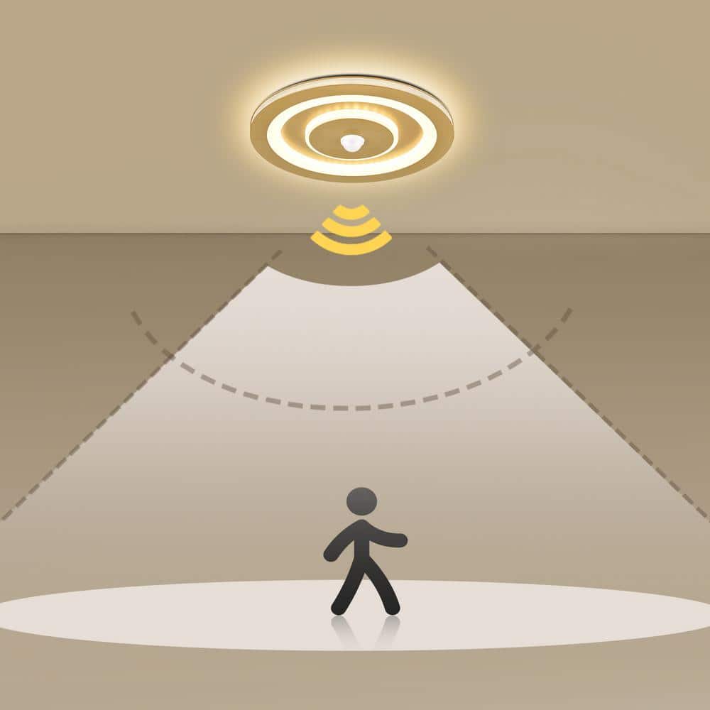 25 in. 1-Light Gold Flush Mount with No Glass Shade and No Bulbs Included 1-Pack - Hercitys