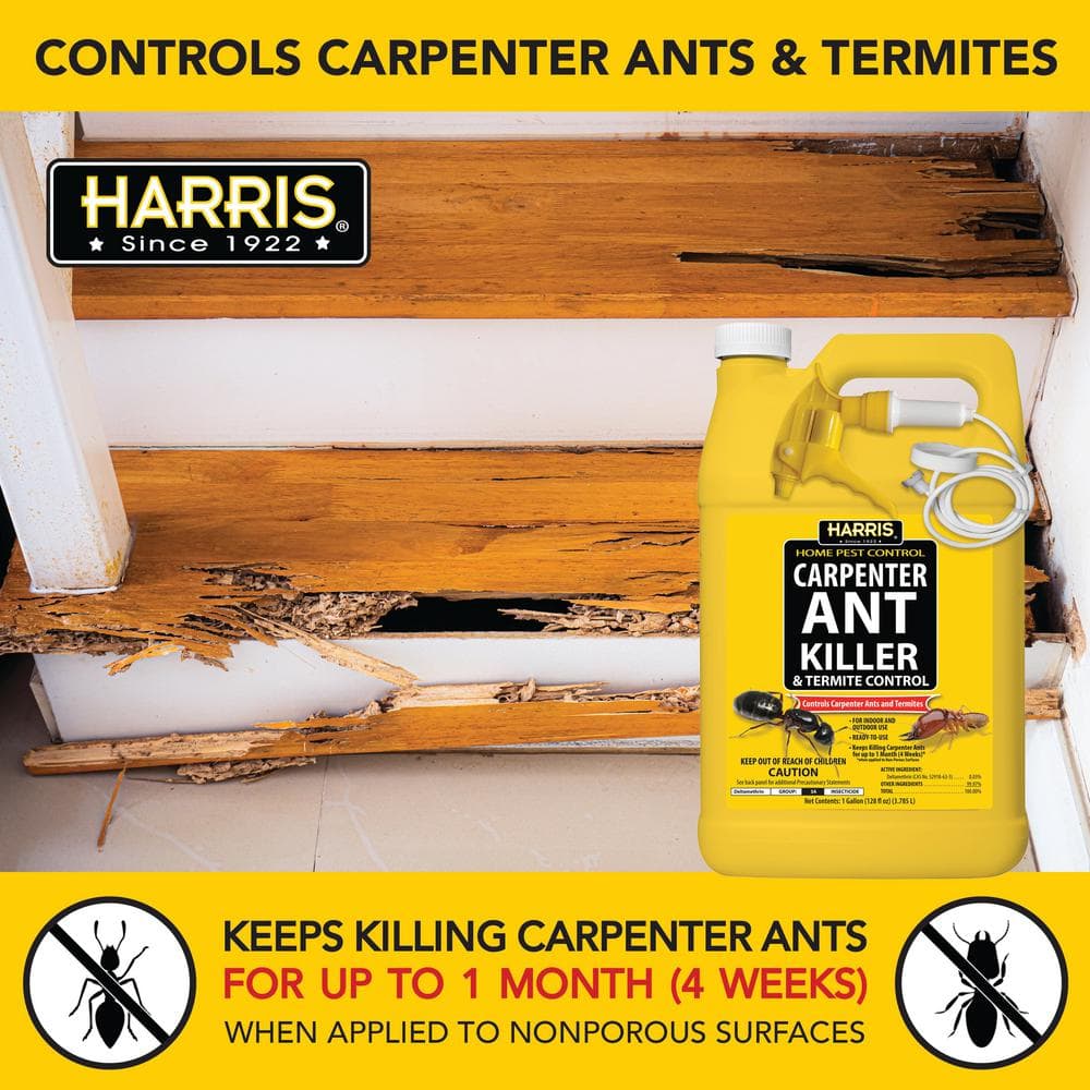 128 oz. Carpenter Ant Killer and Termite Control Treatment Spray (2-Pack) - Hercitys