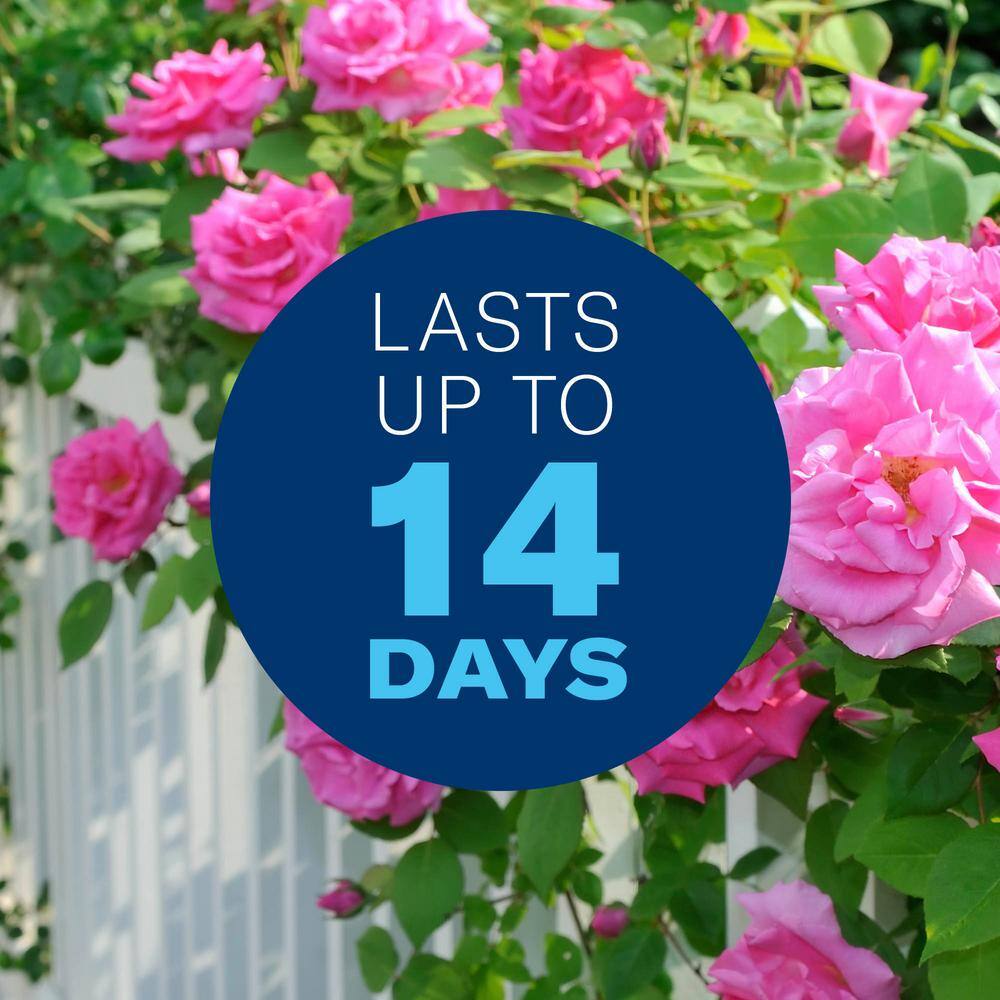 32 oz. Ready-To-Spray All-in-One Rose and Flower Insect Killer - Hercitys
