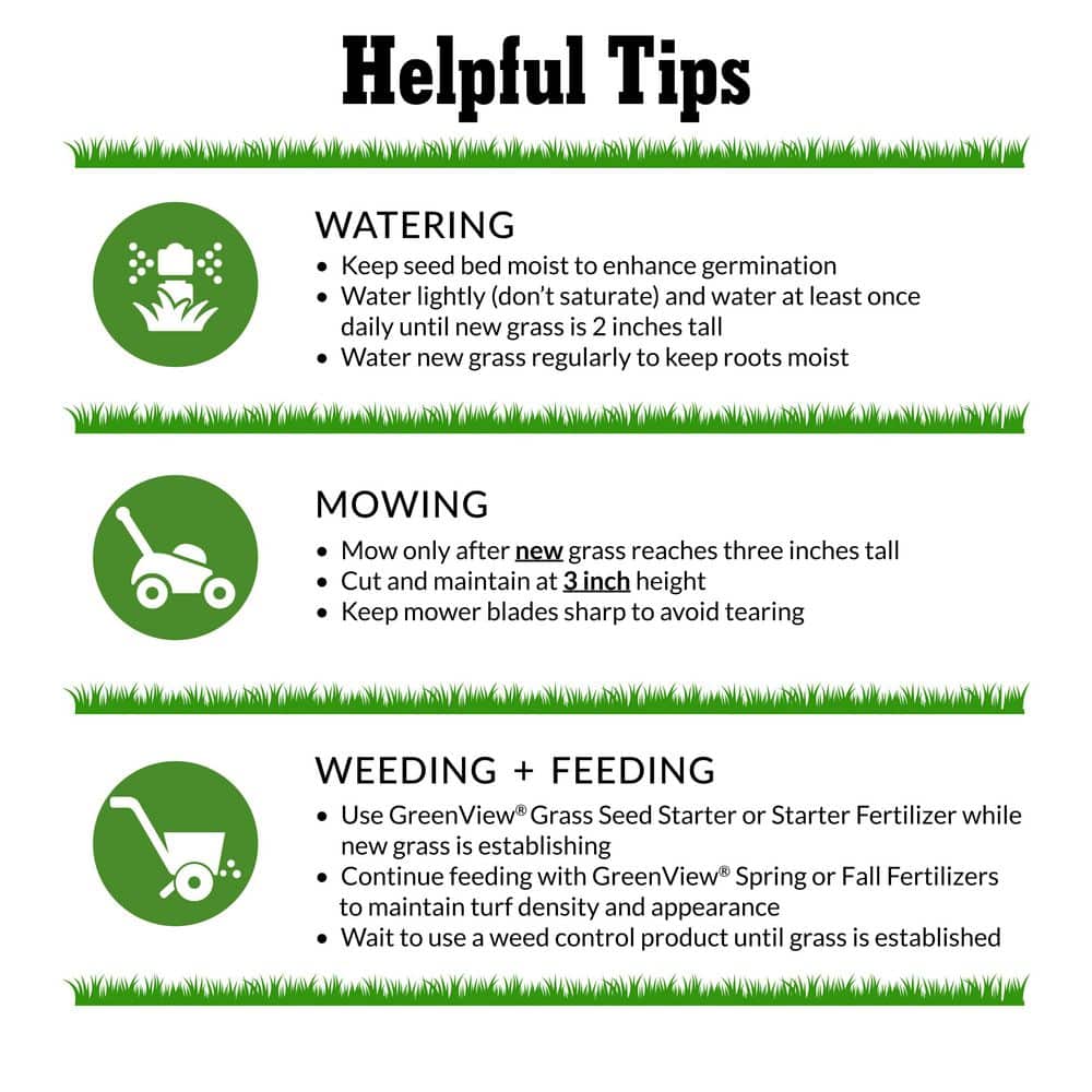 3 lbs. Pure Grass Perennial Ryegrass Blend – Covers up to 1,500 sq. ft. - Hercitys