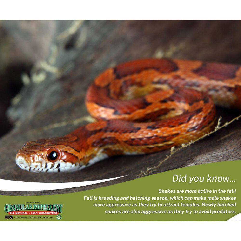 3.5 lbs. Granular Snake Repellent Shaker Bag - Hercitys