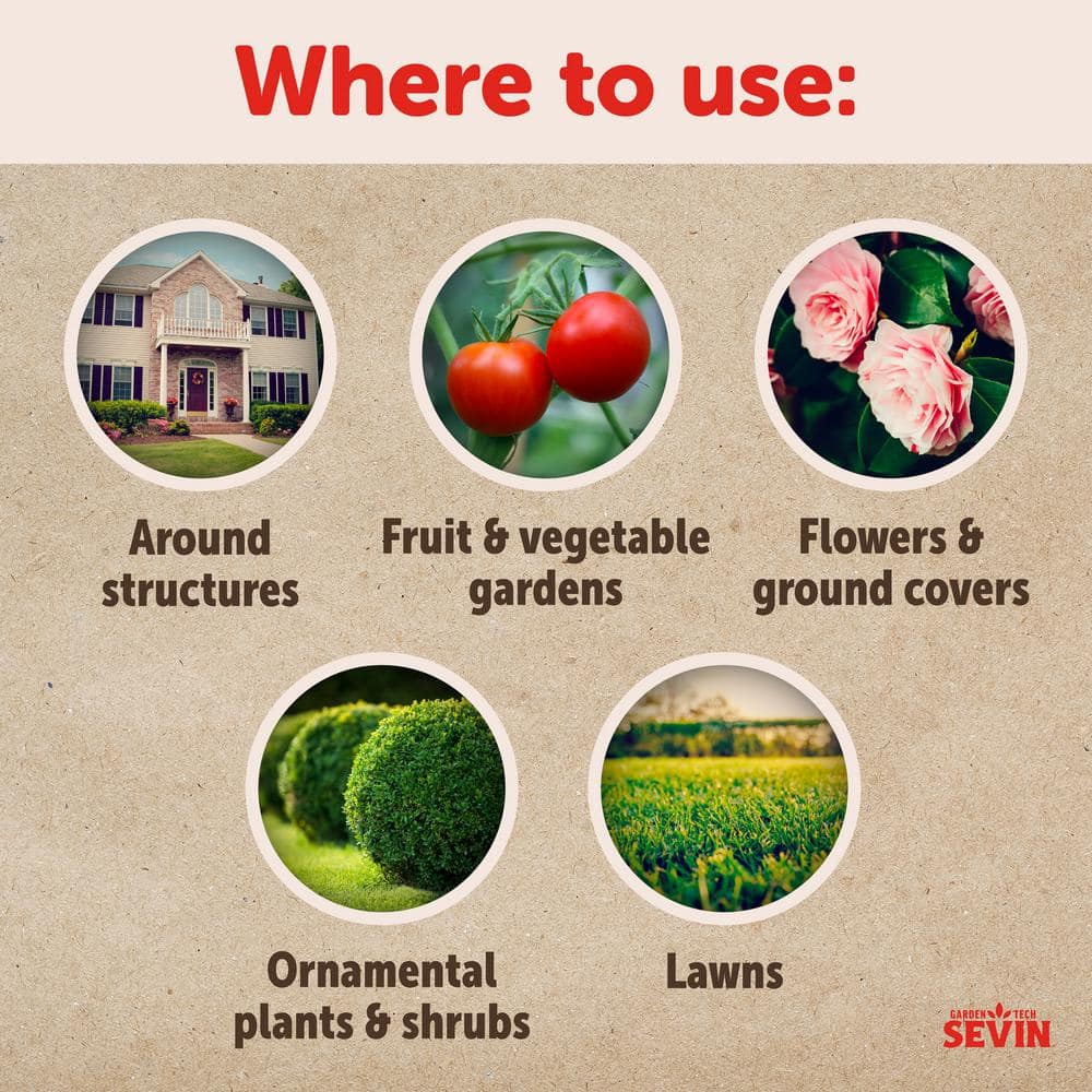 32oz Concentrate Outdoor Insect Killer (2-Pack) - Hercitys