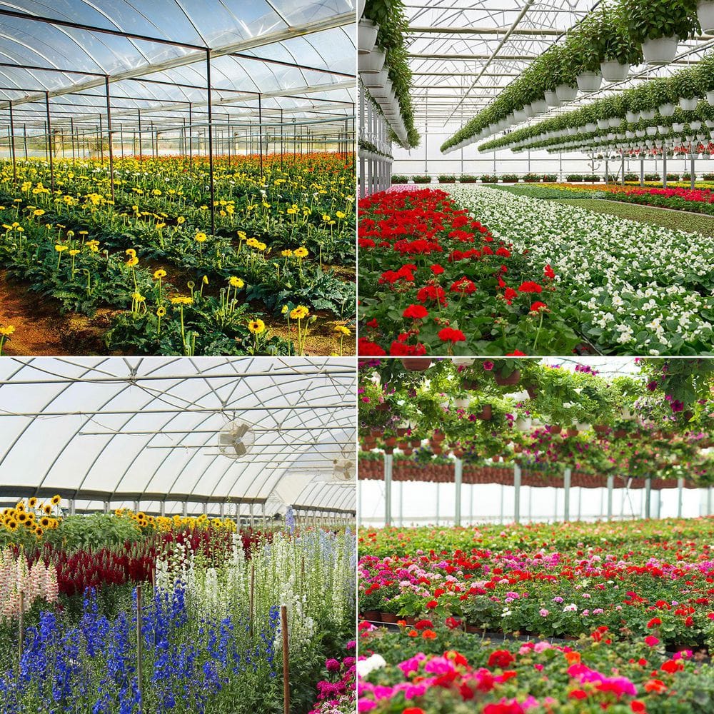 120W Black Full Spectrum 4000K Daylight LED Plant Grow Light 9,200LM High PPFD LED Plant Grow Light - Hercitys