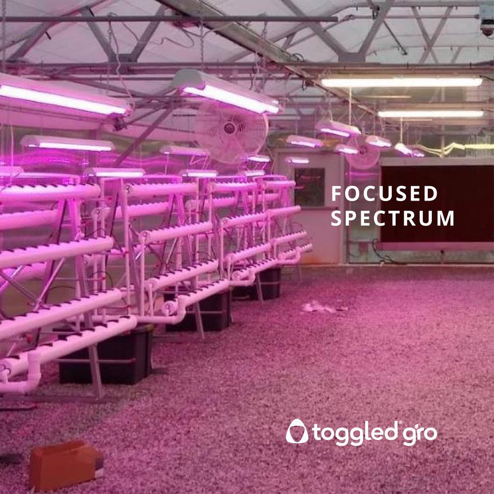 4 ft. 32-Watt 2-Light LED Grow Light (LED Tubes Included) - Hercitys