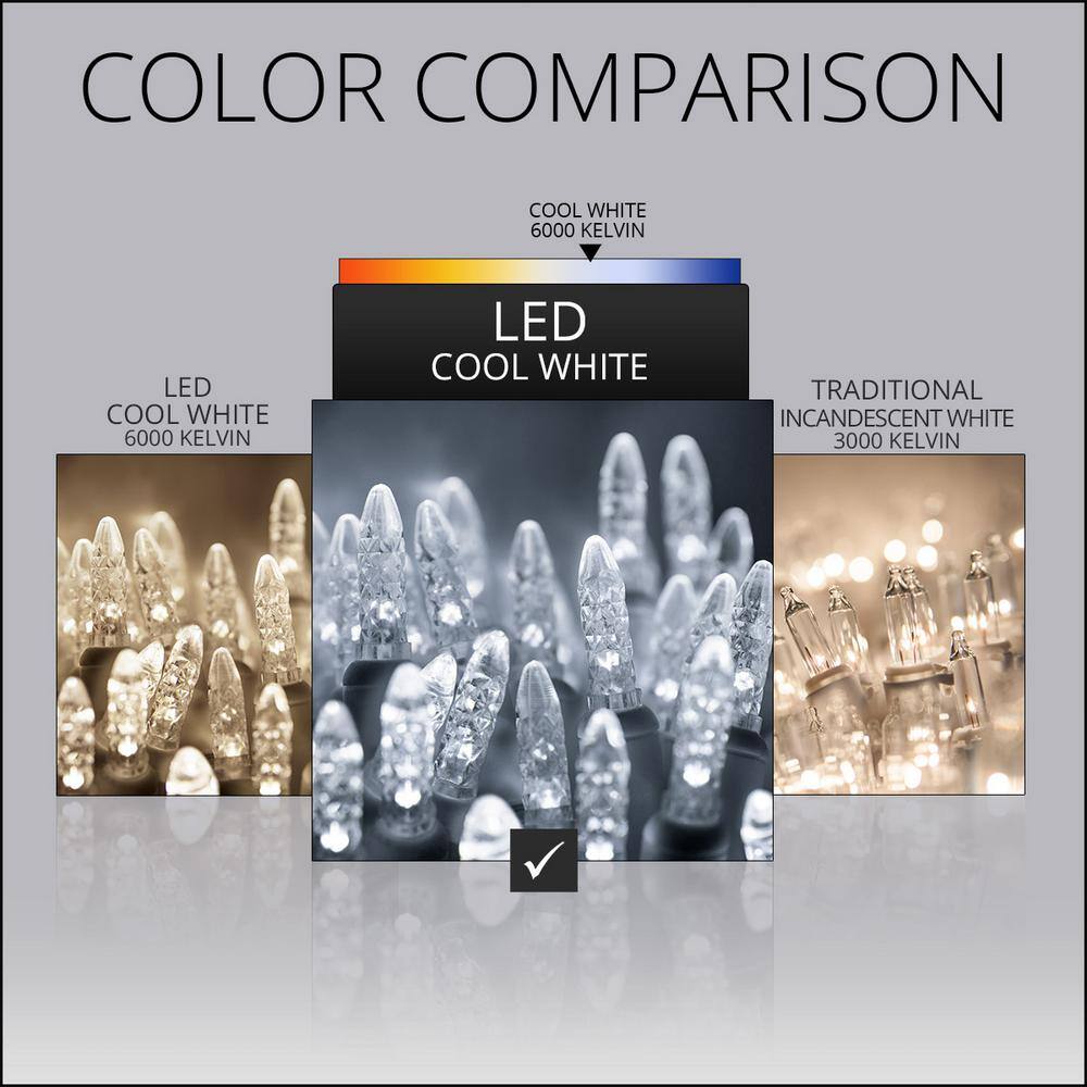 48 in. x 72 in. 100-Light M5 LED Cool White Net Light Set - Hercitys