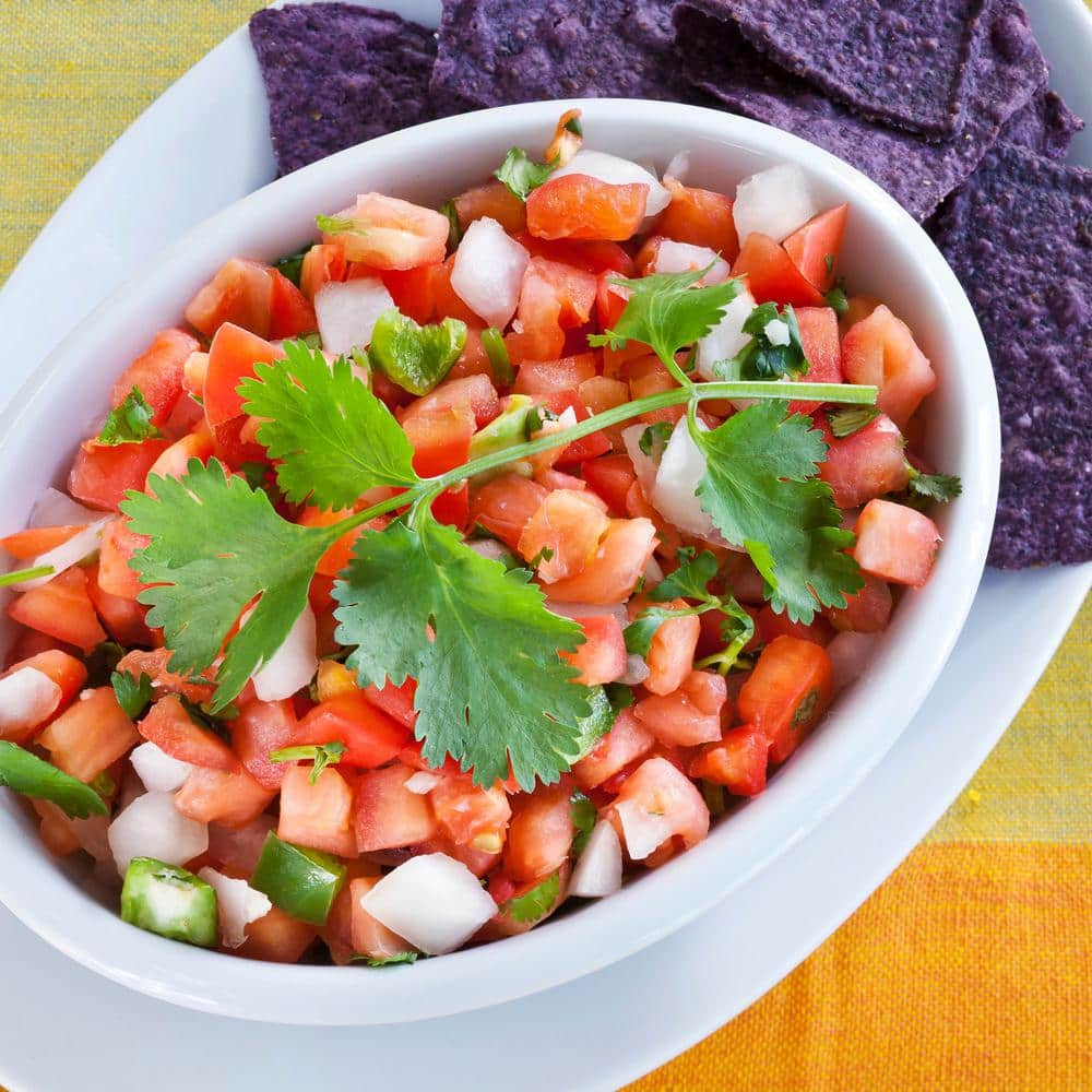 19 oz. Cilantro Herb Plant (2-Pack) - Hercitys