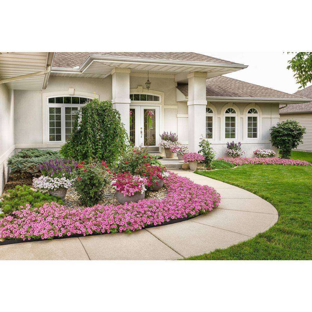 2 qt. Petunia Supertunia Vista Bubblegum Pink Annual Plant (3-Pack) - Hercitys