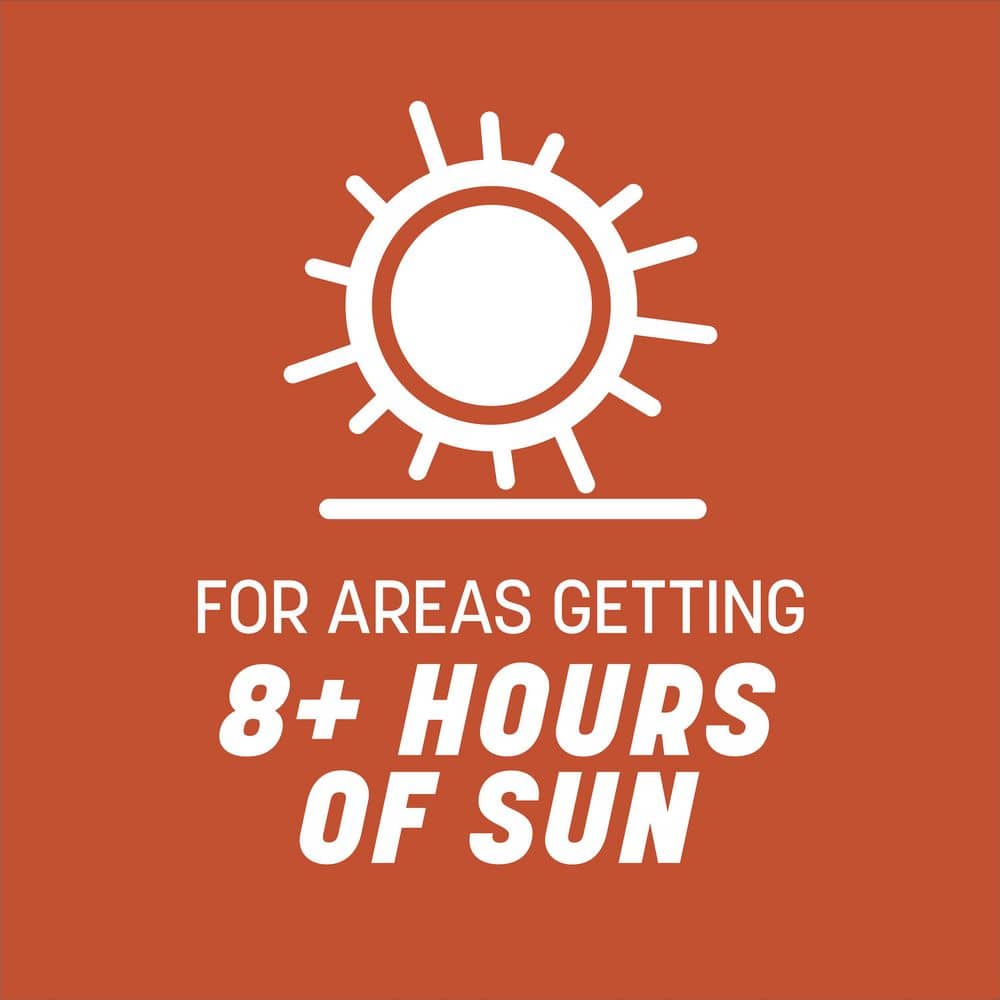 15 lbs. Bermudagrass Grass Seed - Hercitys