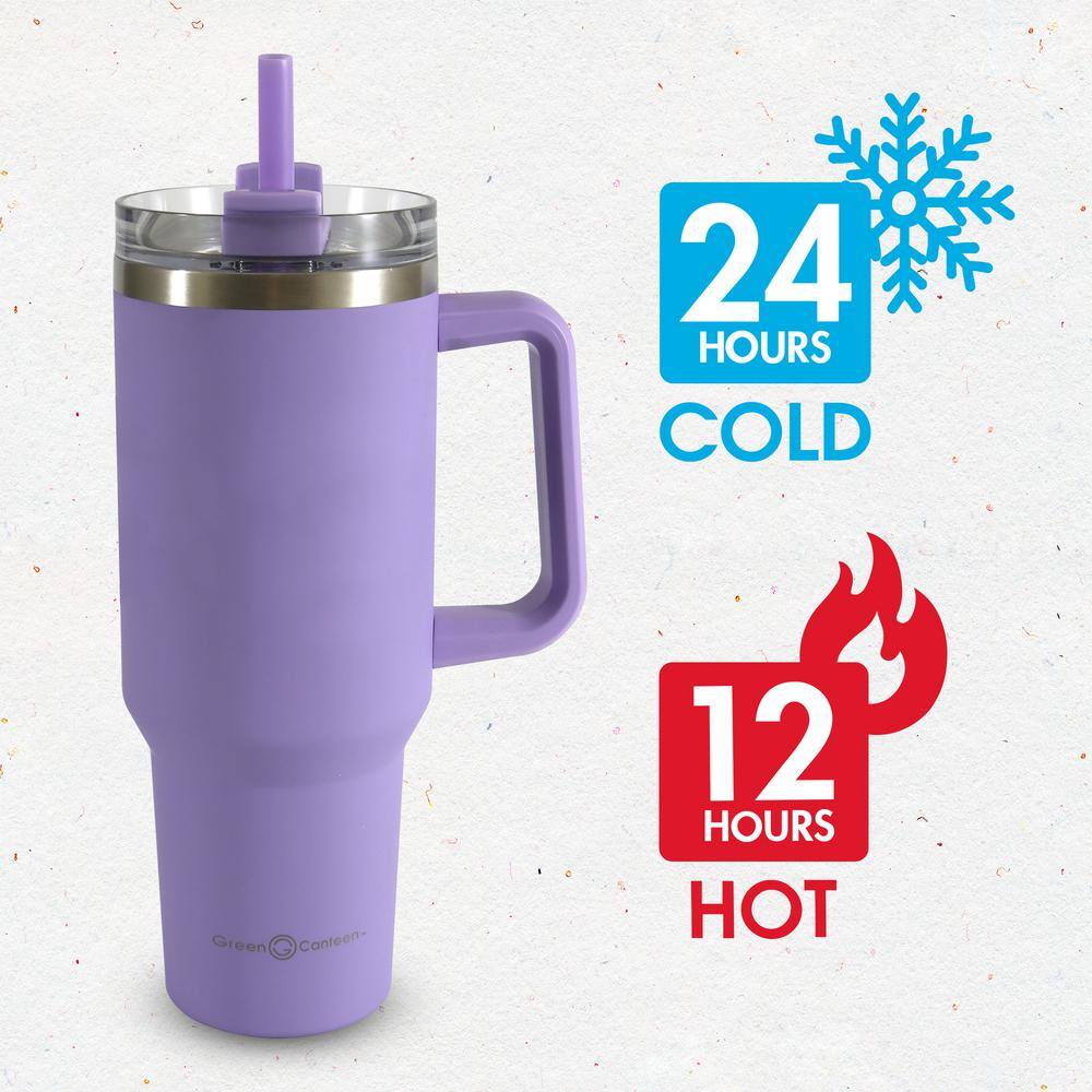 40 oz. Double Wall Stainless Steel Purple Tumbler with Handle (2-pack) - Hercitys